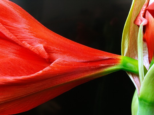 Bild 12
