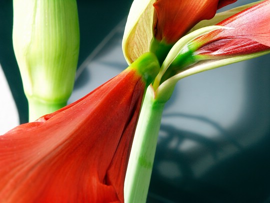 Bild 13