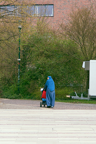Bild 282